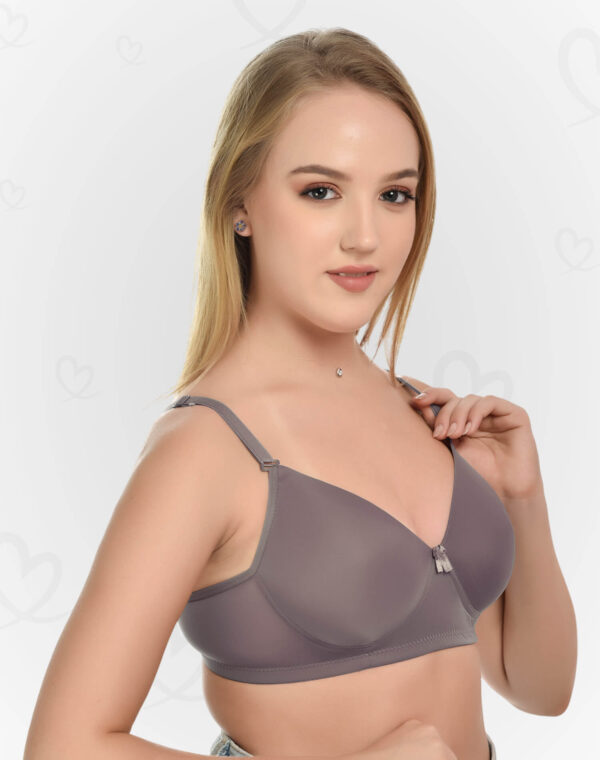 Lushmod Premium Full-Cup Padded Bra with Stretchable Fabric (Sonic Silver Color)