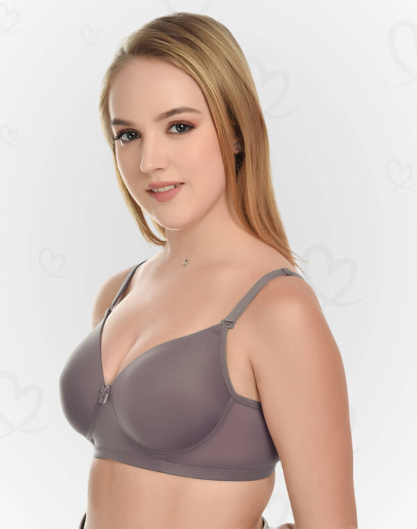 Lushmod Premium Full-Cup Padded Bra with Stretchable Fabric (Sonic Silver Color)