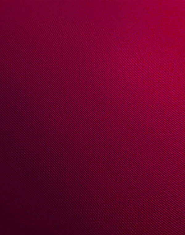 Lushmod Premium Full-Cup Padded Bra with Stretchable Fabric (Maroon Color)