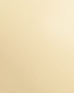 Lushmod Premium Full-Cup Padded Bra with Stretchable Fabric (Desert Sand Dark Color)