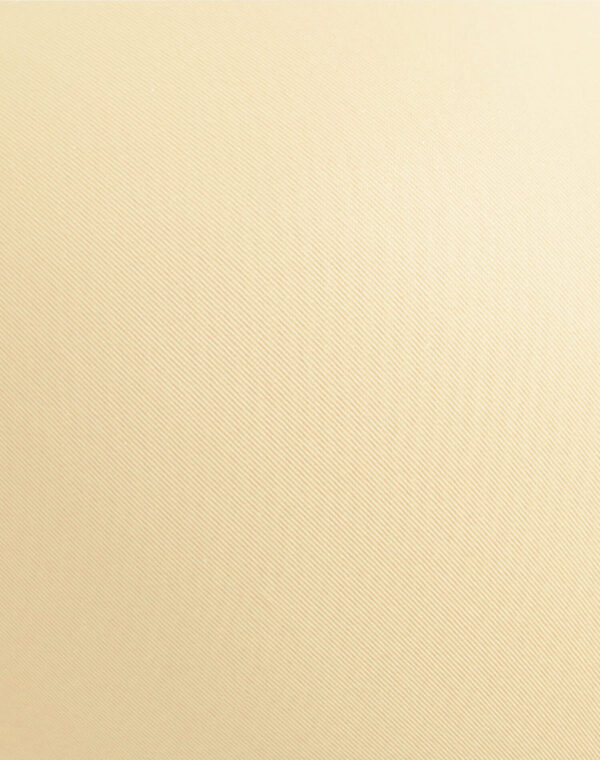 Lushmod Premium Full-Cup Padded Bra with Stretchable Fabric (Desert Sand Dark Color)