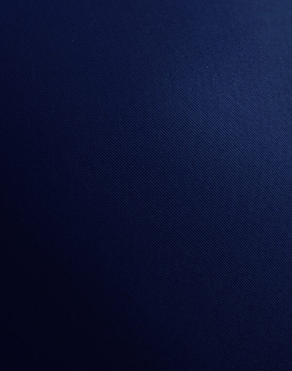 Lushmod Premium Full-Cup Padded Bra with Stretchable Fabric (Navy Blue Color)